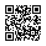 13008-060KESA QRCode