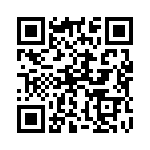 132101 QRCode