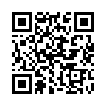 132113RPRT QRCode