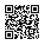 132194 QRCode