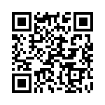 132388-2 QRCode