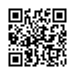 13AT196-A QRCode