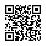 13AT272-T2 QRCode