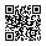 13R106C QRCode