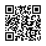 14310613101000 QRCode