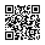 16111705206000 QRCode