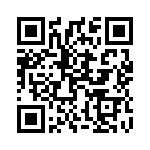 1613601 QRCode