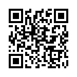 1619003 QRCode