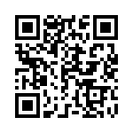 165X13399X QRCode