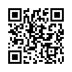 1689145 QRCode