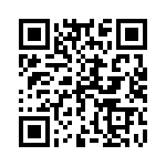 169131211201 QRCode