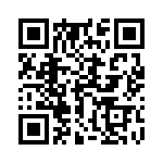 17011102234 QRCode