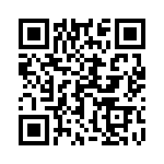 17021752028 QRCode