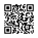 17041541203 QRCode