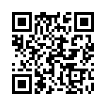 17041542006 QRCode