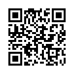 17063082202 QRCode