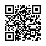 170E3933 QRCode