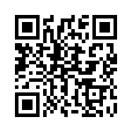 1713037 QRCode