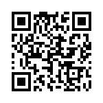 17131272202 QRCode