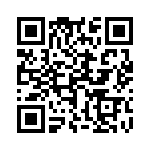 17131272602 QRCode