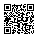 17131272604 QRCode