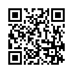 171333K250C-F QRCode