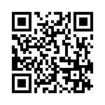 171334K160G-F QRCode