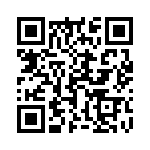 17151251201 QRCode