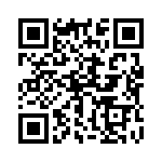 172313 QRCode