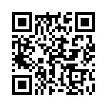 17250954101 QRCode