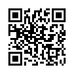 1728297 QRCode