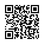 1731110071 QRCode