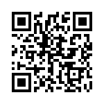 1732033 QRCode