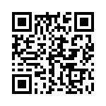 17341101101 QRCode