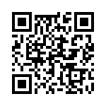 17520722805 QRCode