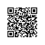 179-009-313R691 QRCode