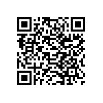 179-037-313R691 QRCode