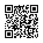 19155031701 QRCode