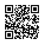 19628161271 QRCode