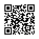 1N6376-E3-54 QRCode