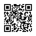 1PMT4110-TR13 QRCode