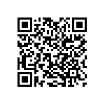 2225J0250333KFT QRCode