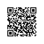 2225J2500273KCT QRCode