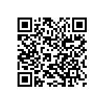 2225Y0250272KCR QRCode