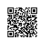 2225Y0250272KFR QRCode