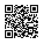 239-1-2717-6 QRCode