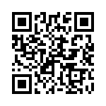 250R05L120FV4T QRCode