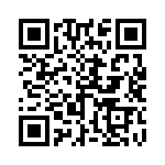 251R14S1R2BV4T QRCode