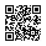 27E317 QRCode