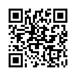 2904257 QRCode